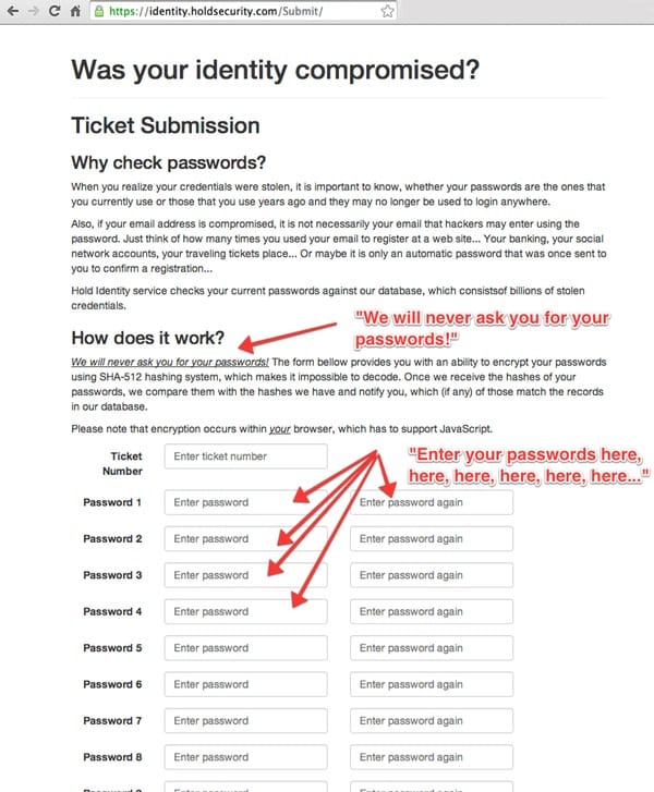 Hold Security password form