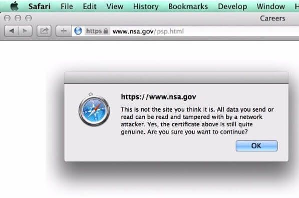 NSA website, mid-FREAK