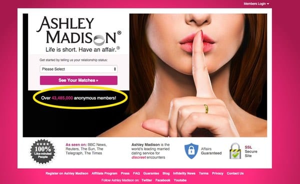 Ashley madison website
