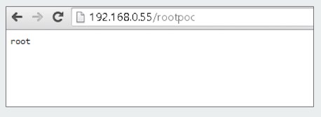 Proof-of-concept attack