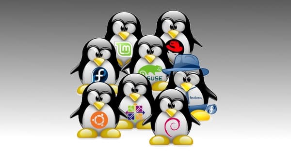 Linux