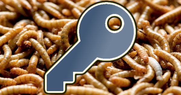 Cryptoworm