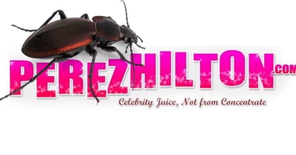 Perez hilton