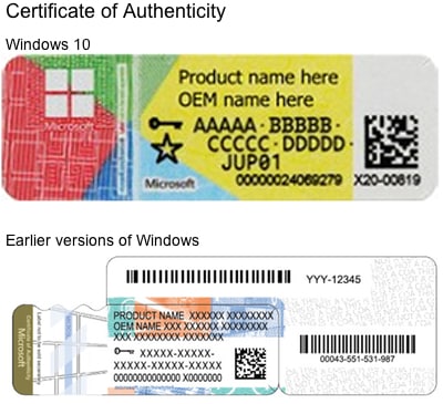 COA - Certificate of Authenticity