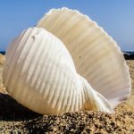 Shellshock two years on &ndash; has your company forgotten about it?