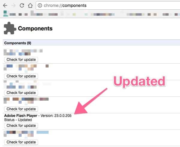 Flash update chrome