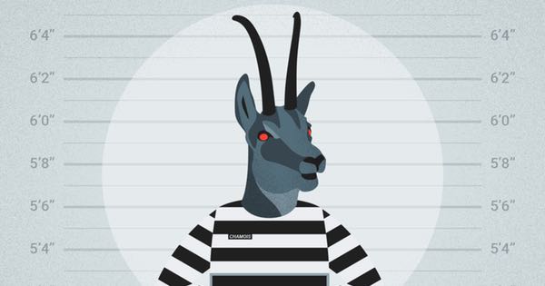 Bye bye, botnet! Kibosh put on Chamois Android fraud network