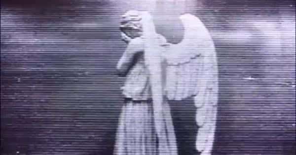 Weeping angel