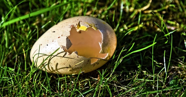 Rotten EGGs spread ransomware in South Korea