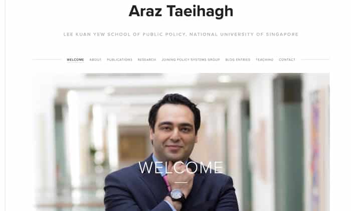 Araz Taeihagh website