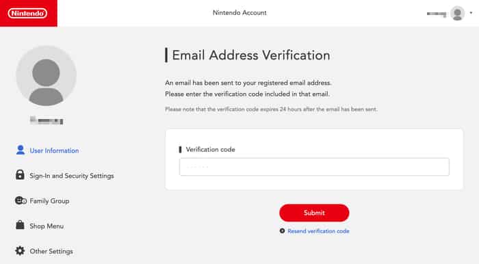 Nintendo settings